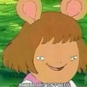 Meet your Posher, Luis